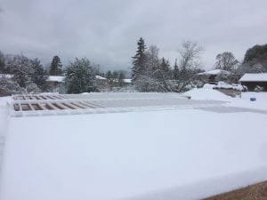 Maybe we should just build an igloo